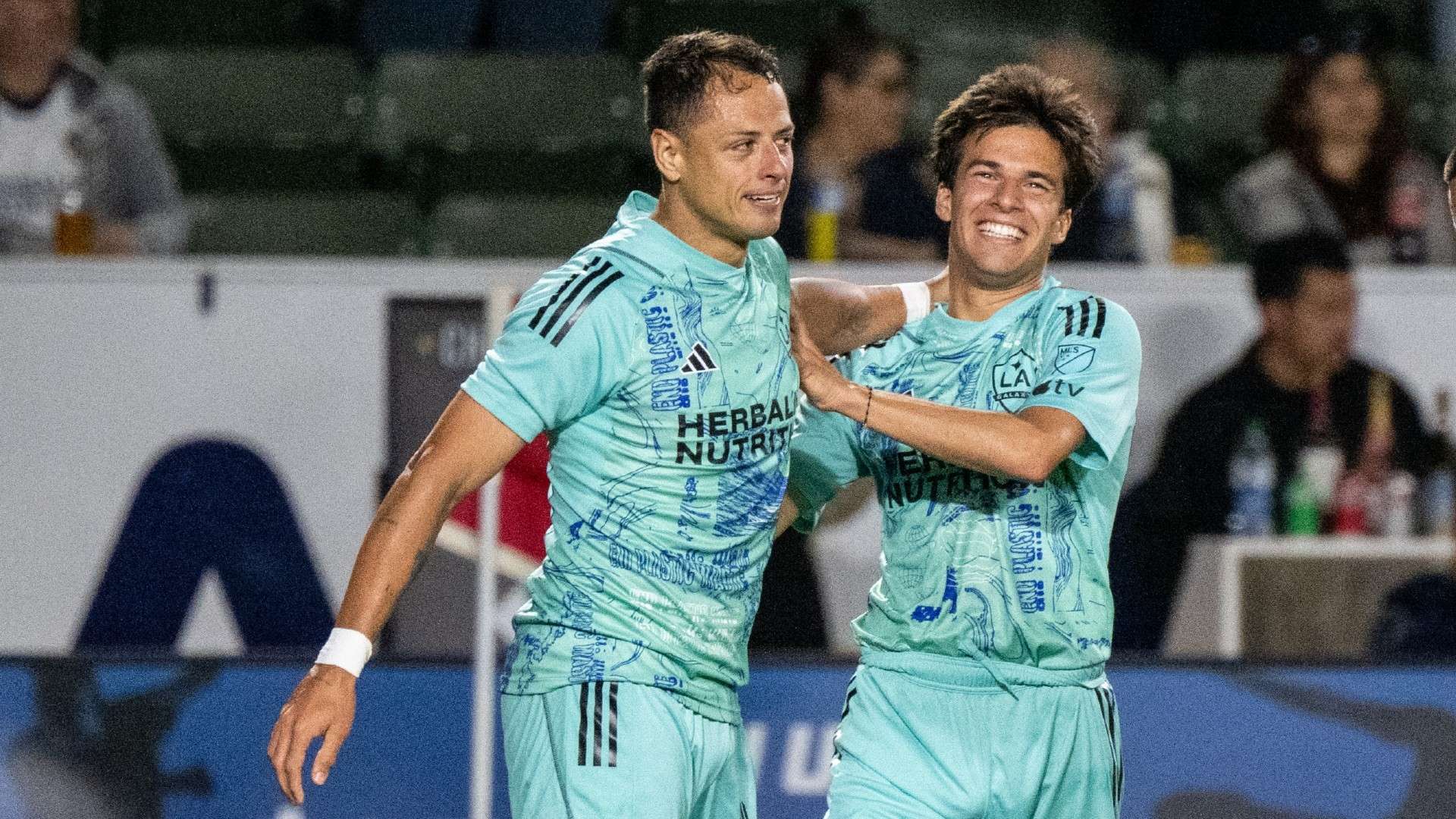 供了无限可 供了无限可