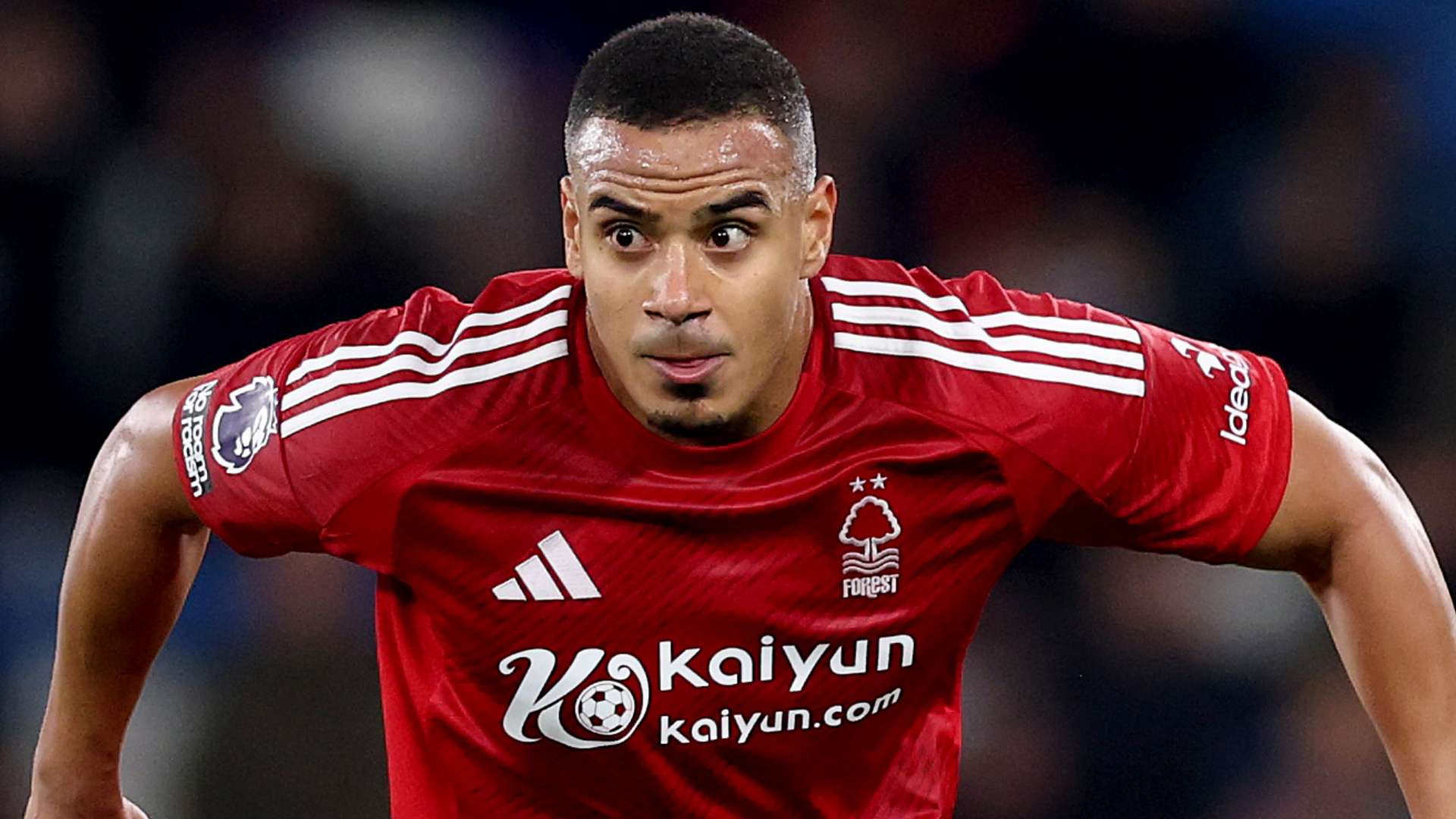 的分水岭 的分水岭