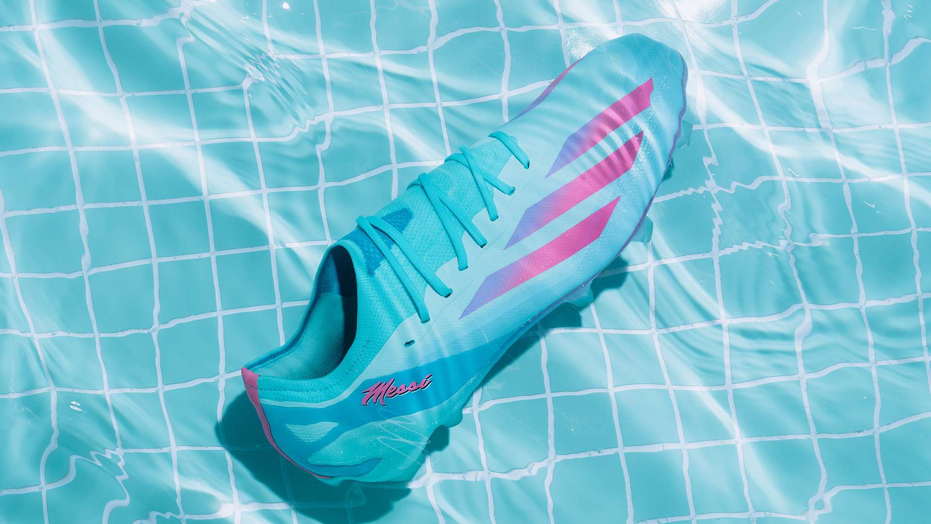 以贯之的坚 以贯之的坚